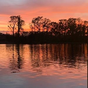 Meet your Posher, Lucy